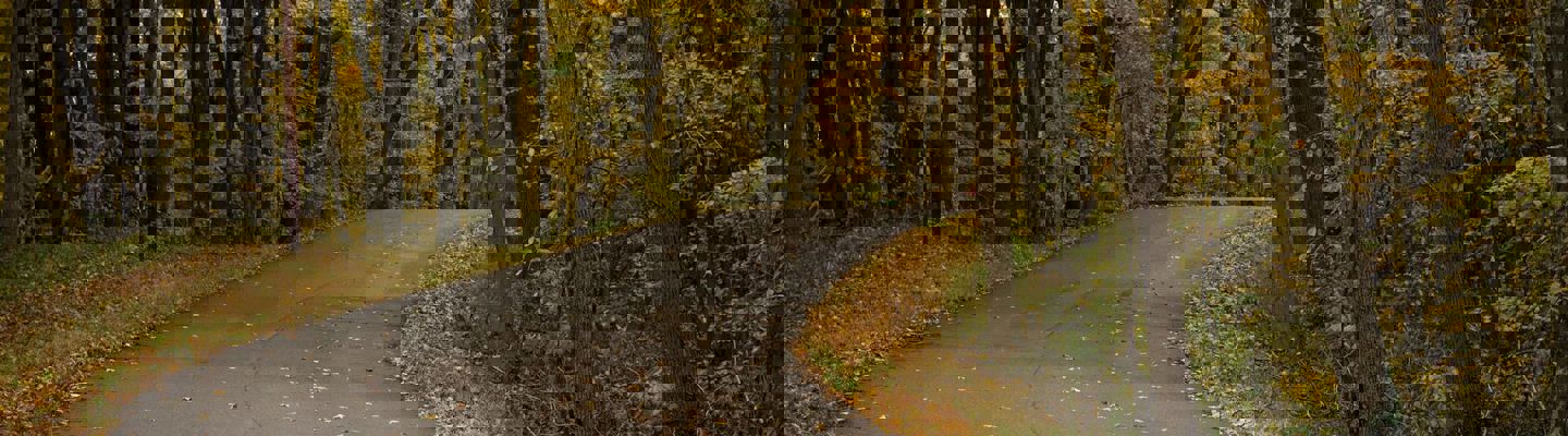 Alex Jones Vbzo0qfelks Unsplash (1)